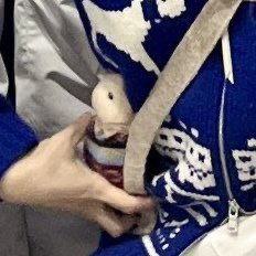 [잡담] 성한빈 햄스터 인형이랑 무대같이 올라간건가? | 인스티즈