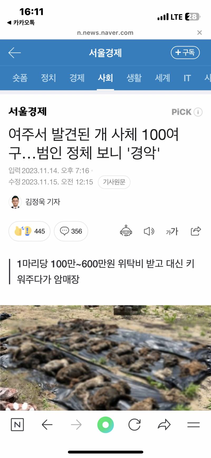 [잡담] 암매장 미친거아니냐고(ㅎㅇㅈㅇ | 인스티즈