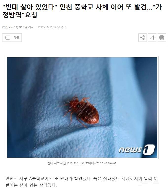 인천 중학교에서 사체 이어 살아있는 빈대 또 발견 ㄷㄷㄷ | 인스티즈
