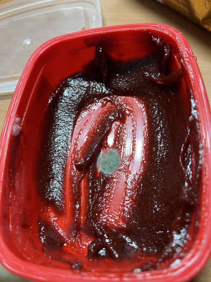 [잡담] 고추장에 곰팡이 피었는데 먹어도될까??? | 인스티즈