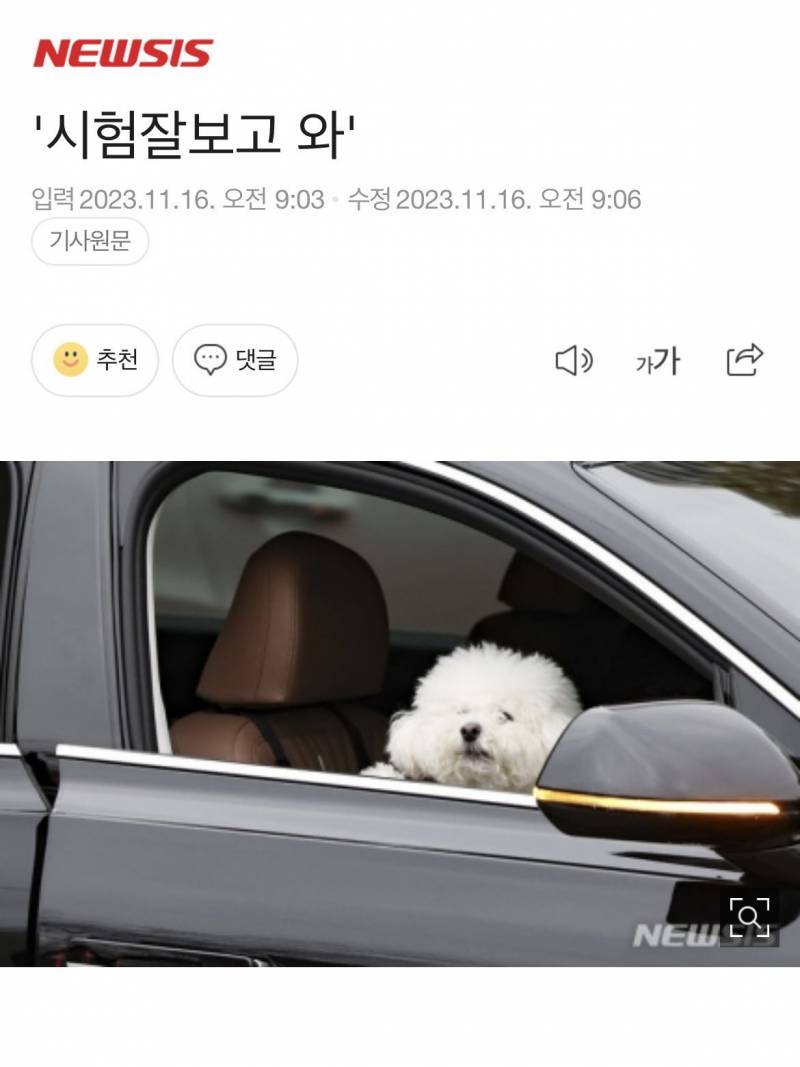 [잡담] 하… 이거 진심 기분 좋아지는 사진이야 | 인스티즈