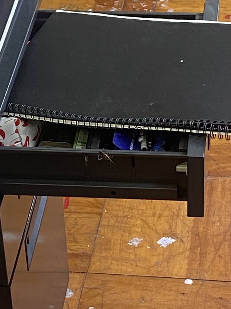 [잡담] (벌레 사진 주의)이거 무슨벌레인지 아는 사람 ㅠㅜㅜㅠ | 인스티즈