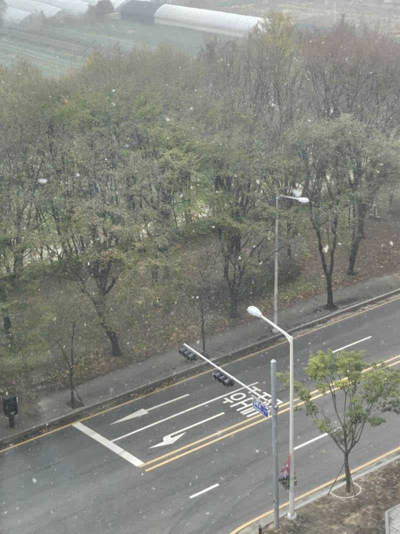 [잡담] 일산익 눈온다,,,, | 인스티즈