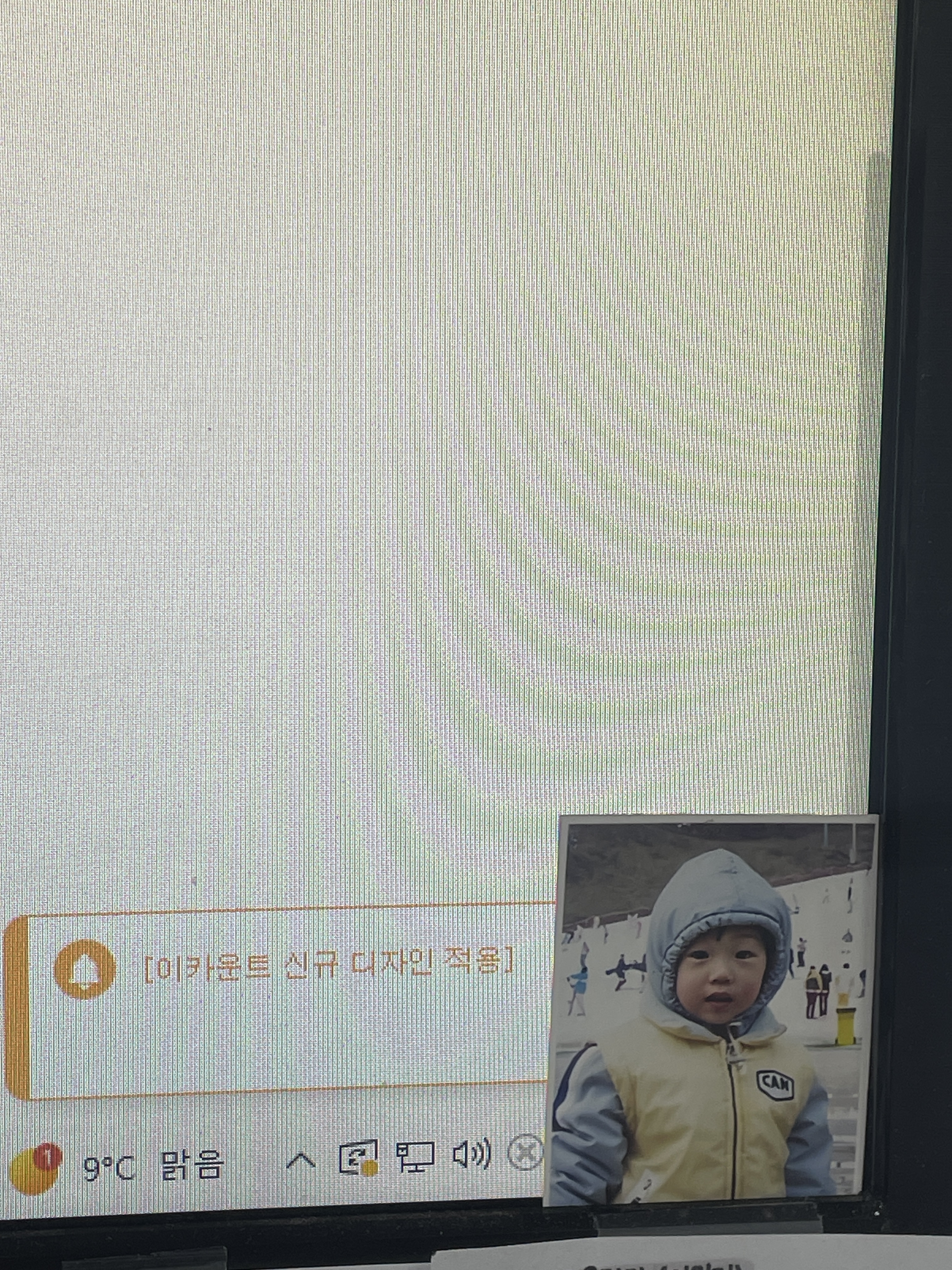 [잡담] 박지성 잡묵 | 인스티즈