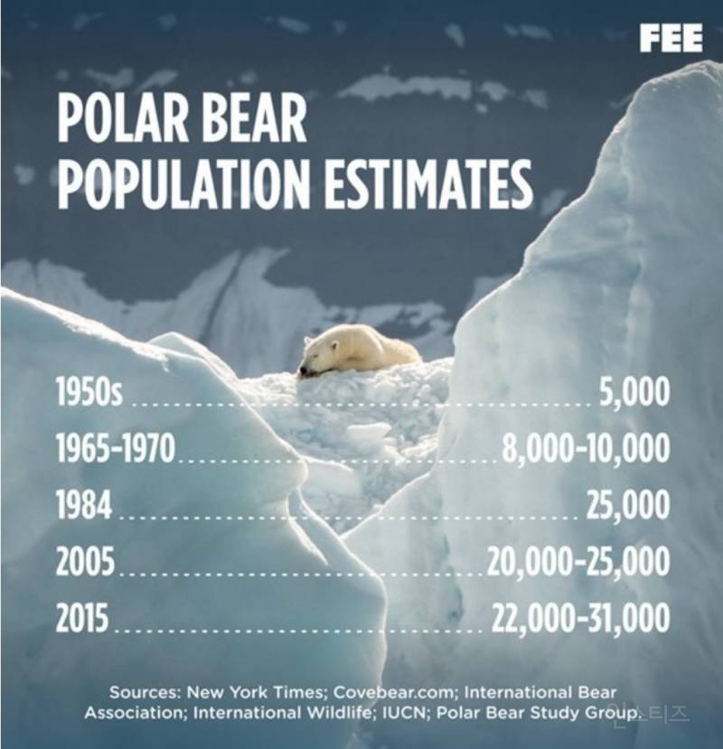 북극곰 개체수 충격적 근황.. | 인스티즈