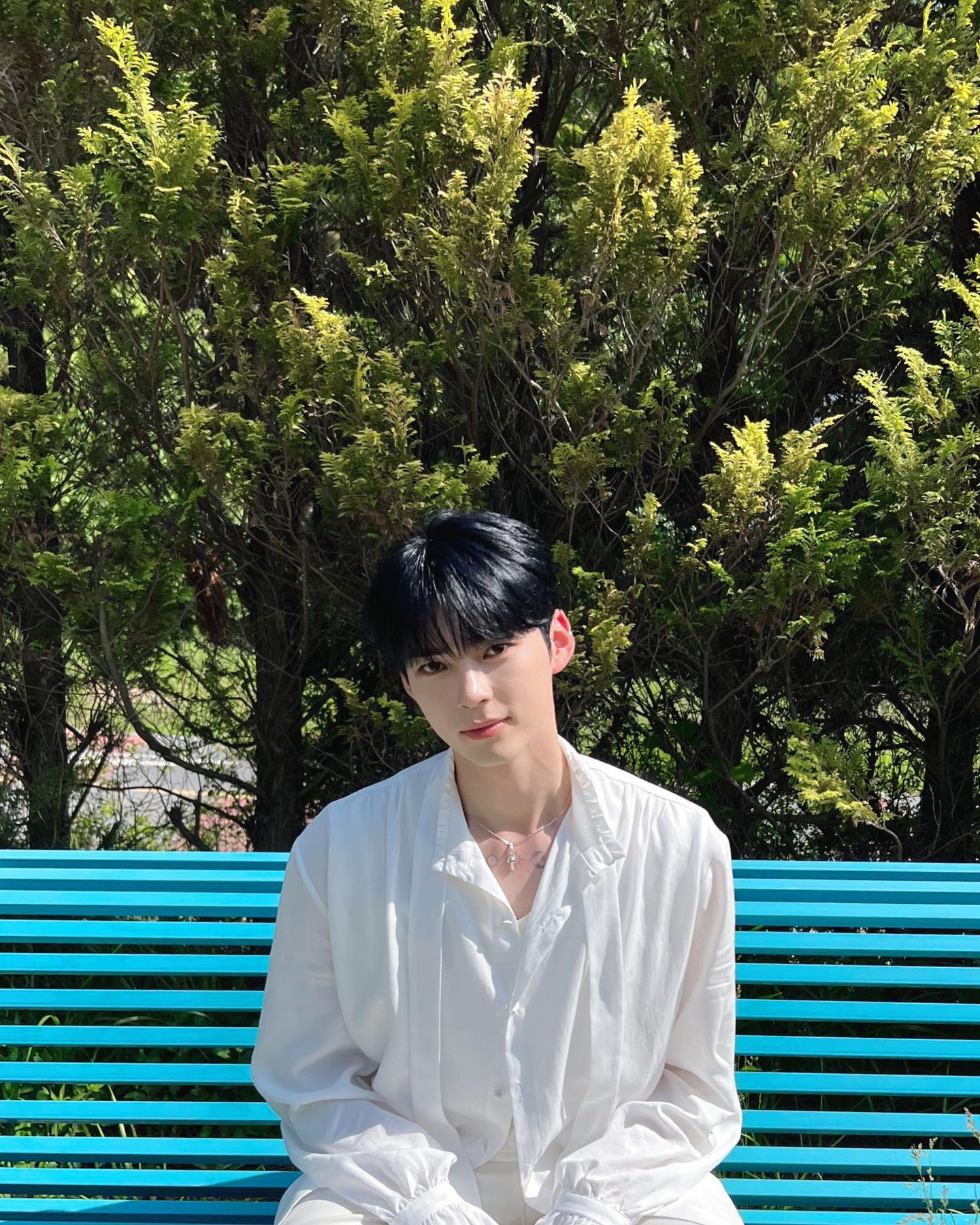 [잡담] 아니 성한빈 울창한 나무들이랑 너무 잘어울려 | 인스티즈