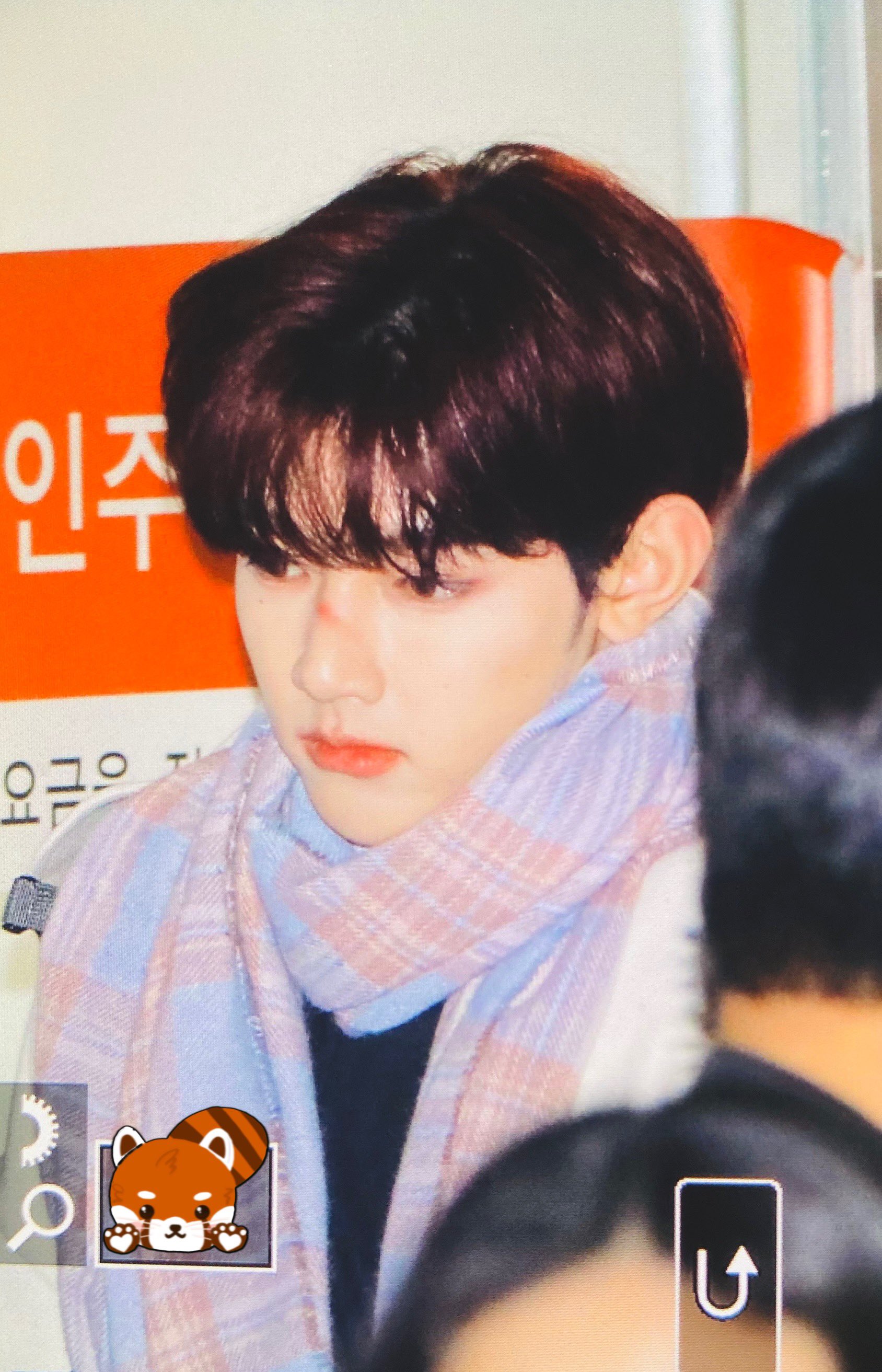 [잡담] 장하오 팬싸템 떡코 목도리 챙겨서 야무지게 입고 가는거 줠라 ㄱㅇㅇ | 인스티즈