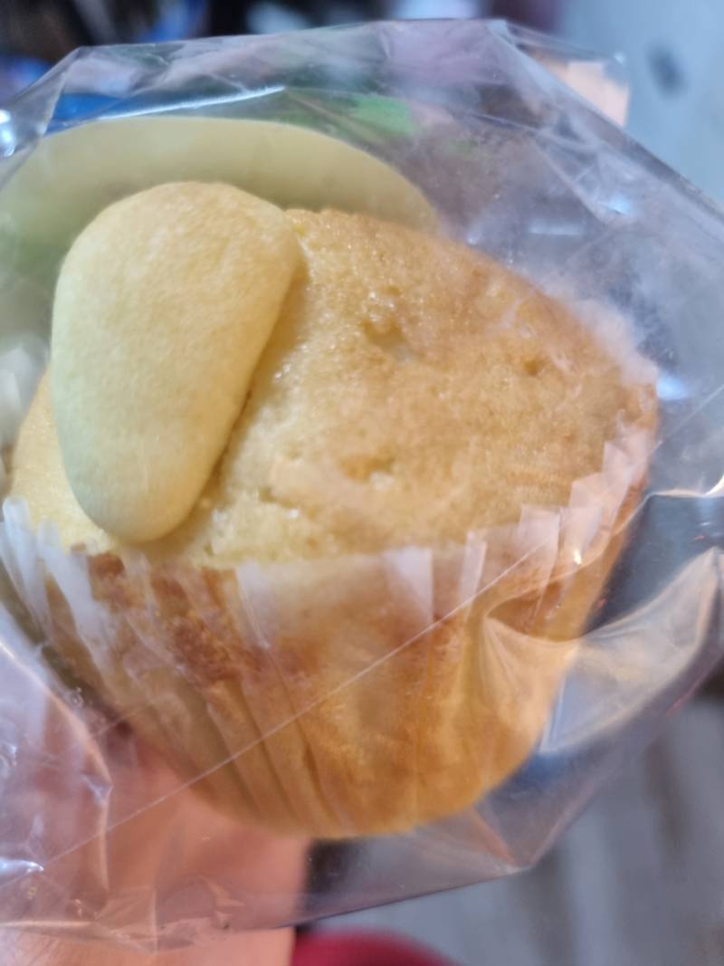 [잡담] 익들아 저녁알바 하지마.... | 인스티즈