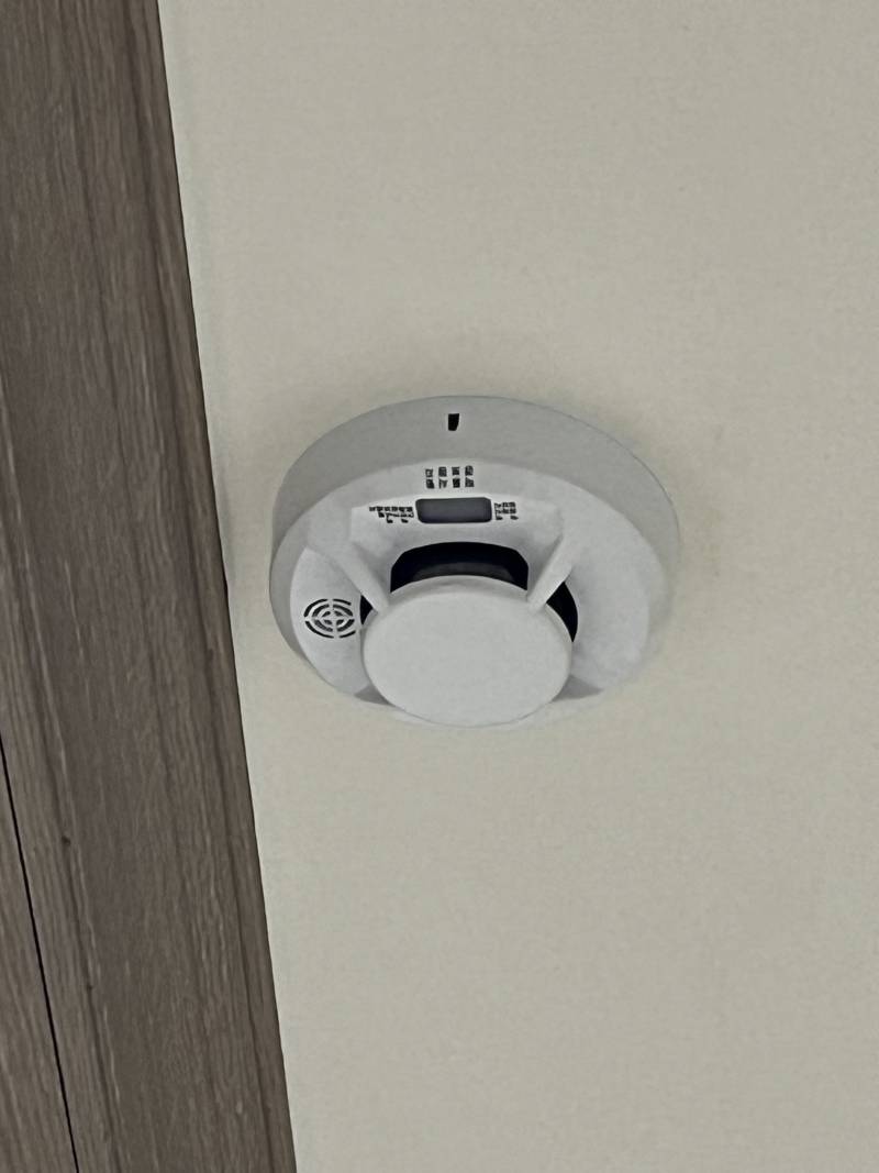 [잡담] 자취하는익들아ㅠㅠㅠㅠㅠ | 인스티즈