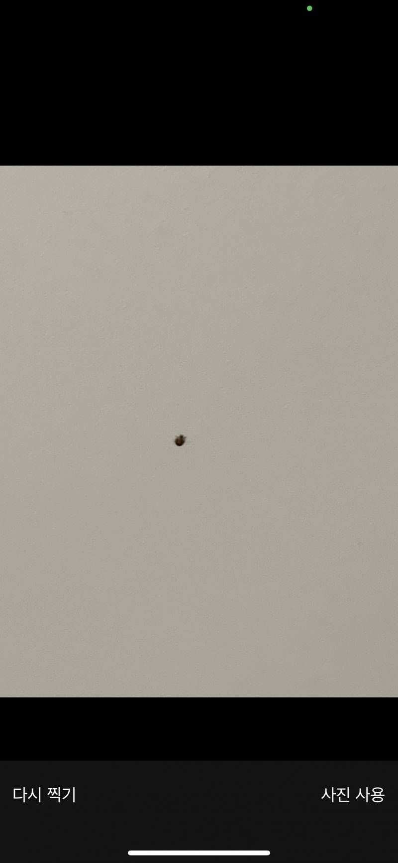 [잡담] 얘들아 제발 이거 무슨 벌레야 제발 벙레사짘주의 | 인스티즈