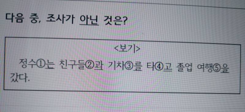 [잡담] 국어 문법 문제인데 이거 다 조사 맞지 않아??? | 인스티즈