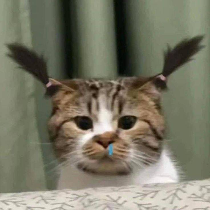 [잡담] 나만 인티 이제 들어와졌냐고 | 인스티즈