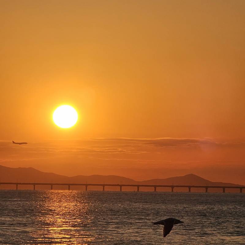 [잡담] 운치있는 사진 굿인가요? | 인스티즈