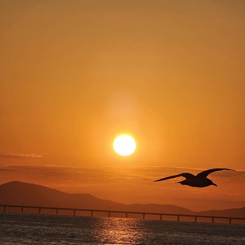 [잡담] 운치있는 사진 굿인가요? | 인스티즈