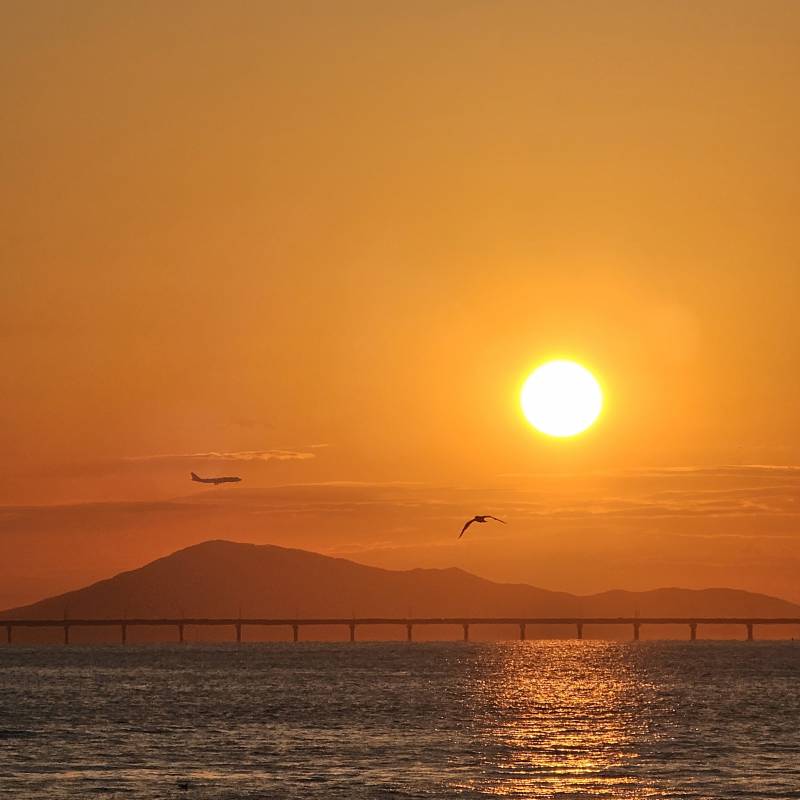 [잡담] 운치있는 사진 굿인가요? | 인스티즈