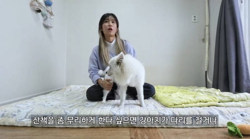 방치하면 큰일 나는 멈머들 고질병.jpg | 인스티즈