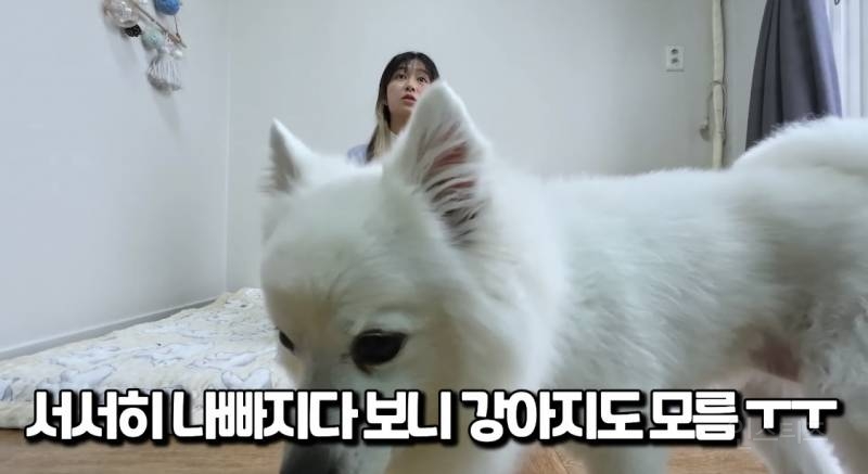 방치하면 큰일 나는 멈머들 고질병.jpg | 인스티즈