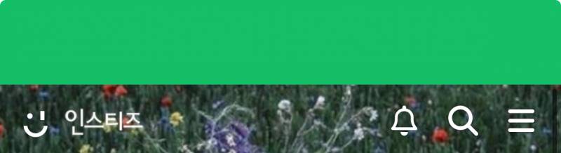 [잡담] 아이폰인데 나만 인티 이렇게 떠? | 인스티즈