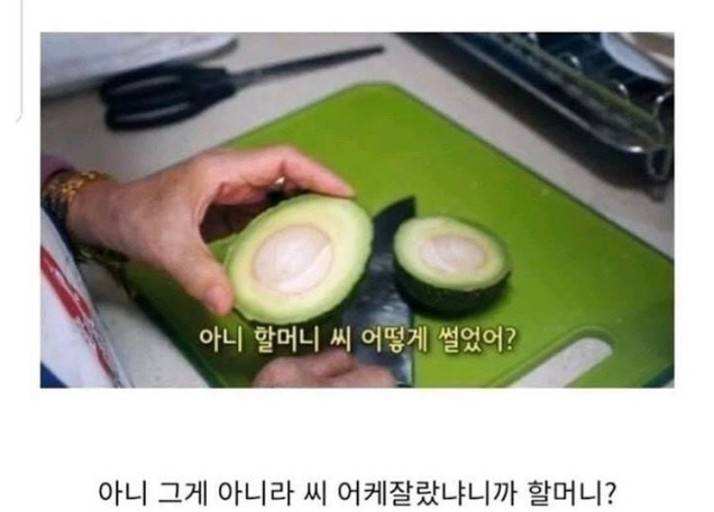 [잡담] 아보카도 씨 자르는 상황이 너무 웃김 | 인스티즈