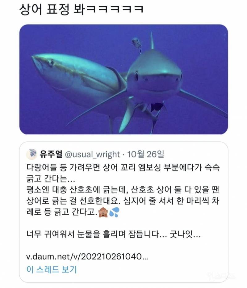 [잡담] 싸우지마❗ | 인스티즈