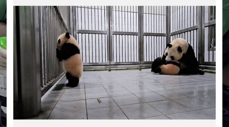 [잡담] 아니 왜이렇게 우뚝 서있어 ㅋㅋㅋㅌ | 인스티즈