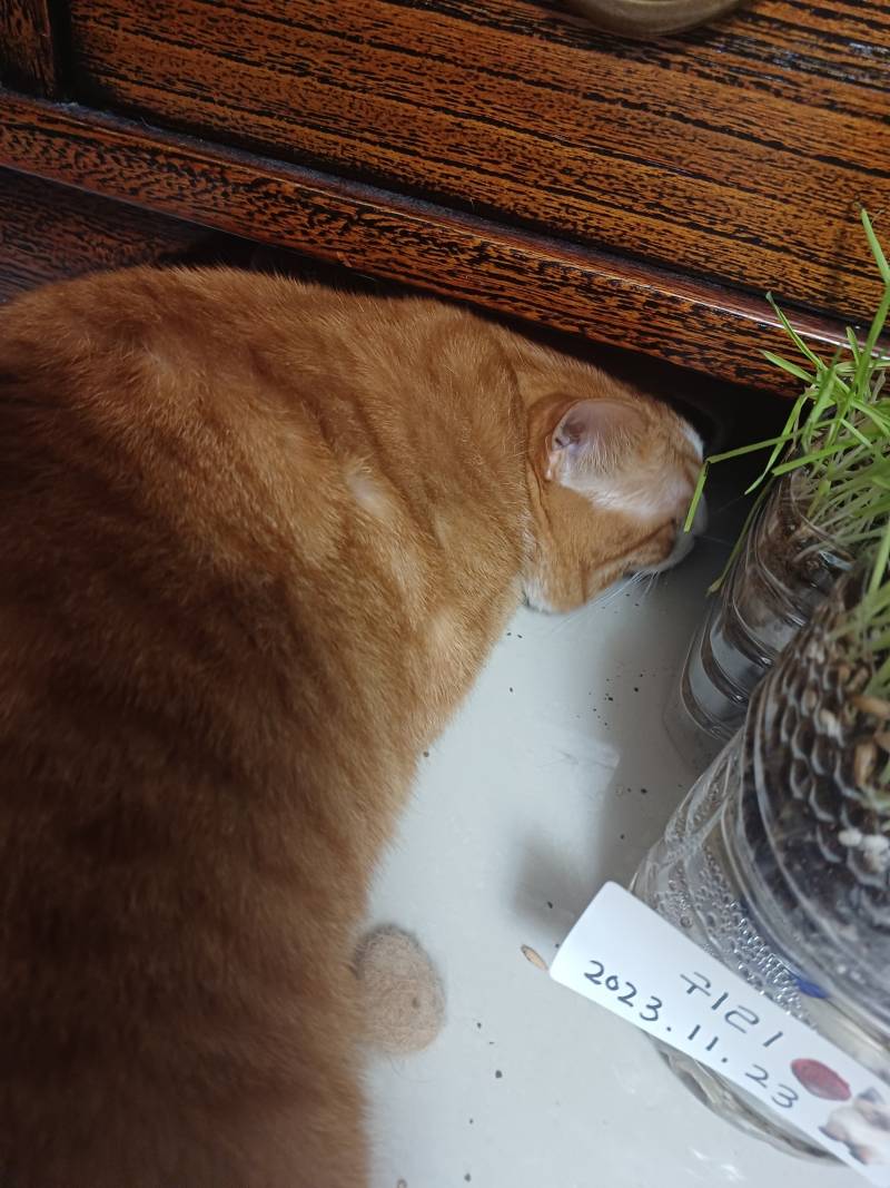 [잡담] 갑자기 왜이러는거야....? | 인스티즈