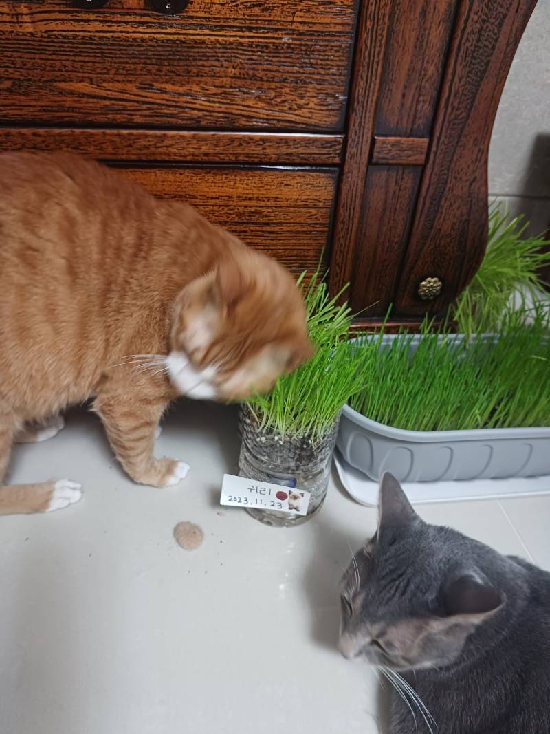 [잡담] 갑자기 왜이러는거야....? | 인스티즈