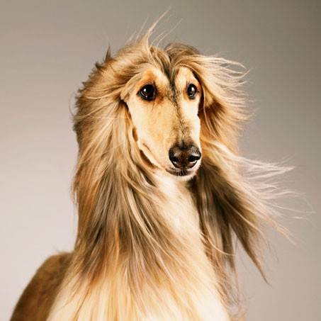 [잡담] 바지 이렇게 우는 이유가 (사진o) | 인스티즈