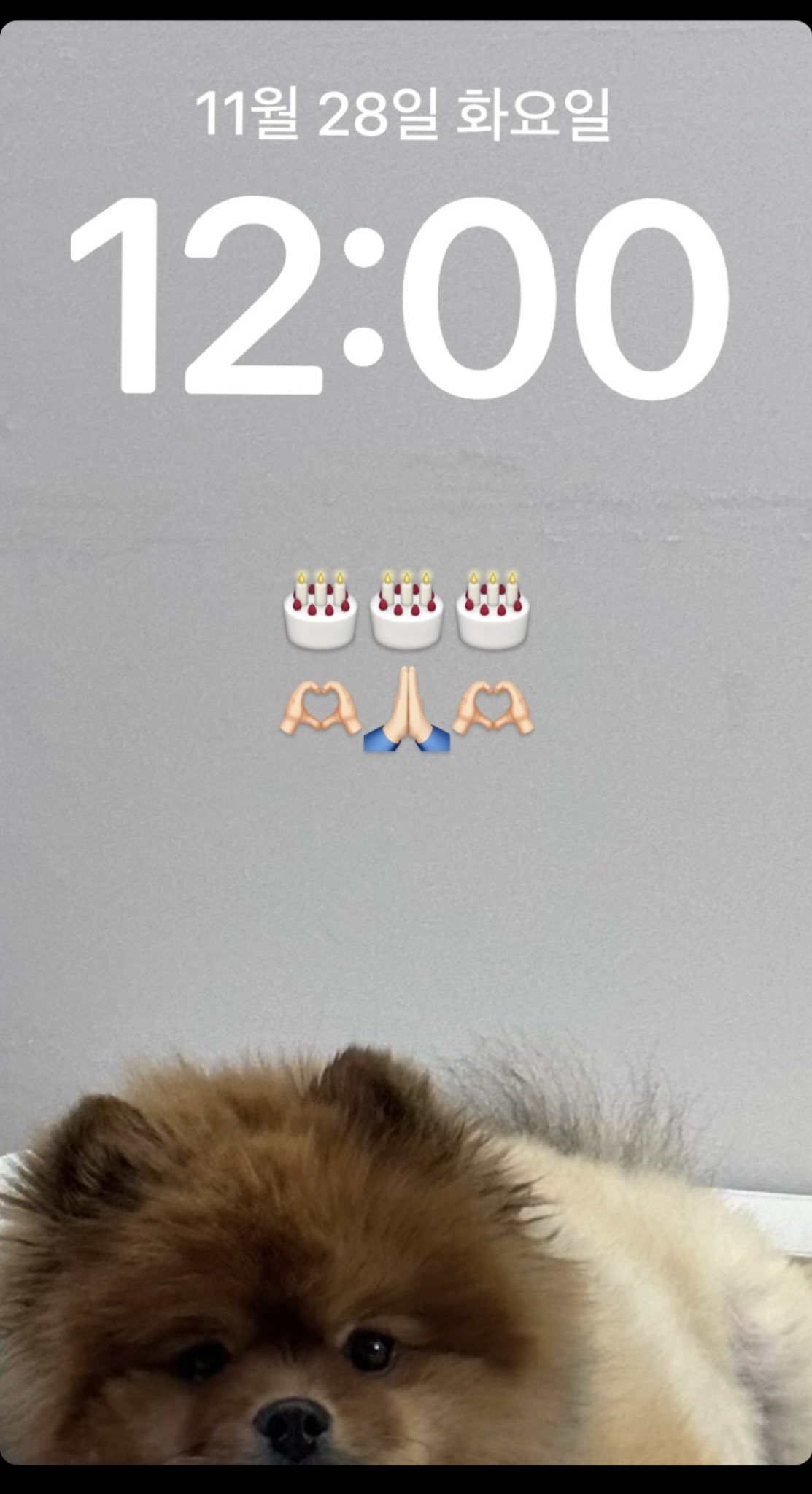 [잡담] 생일이다!! | 인스티즈