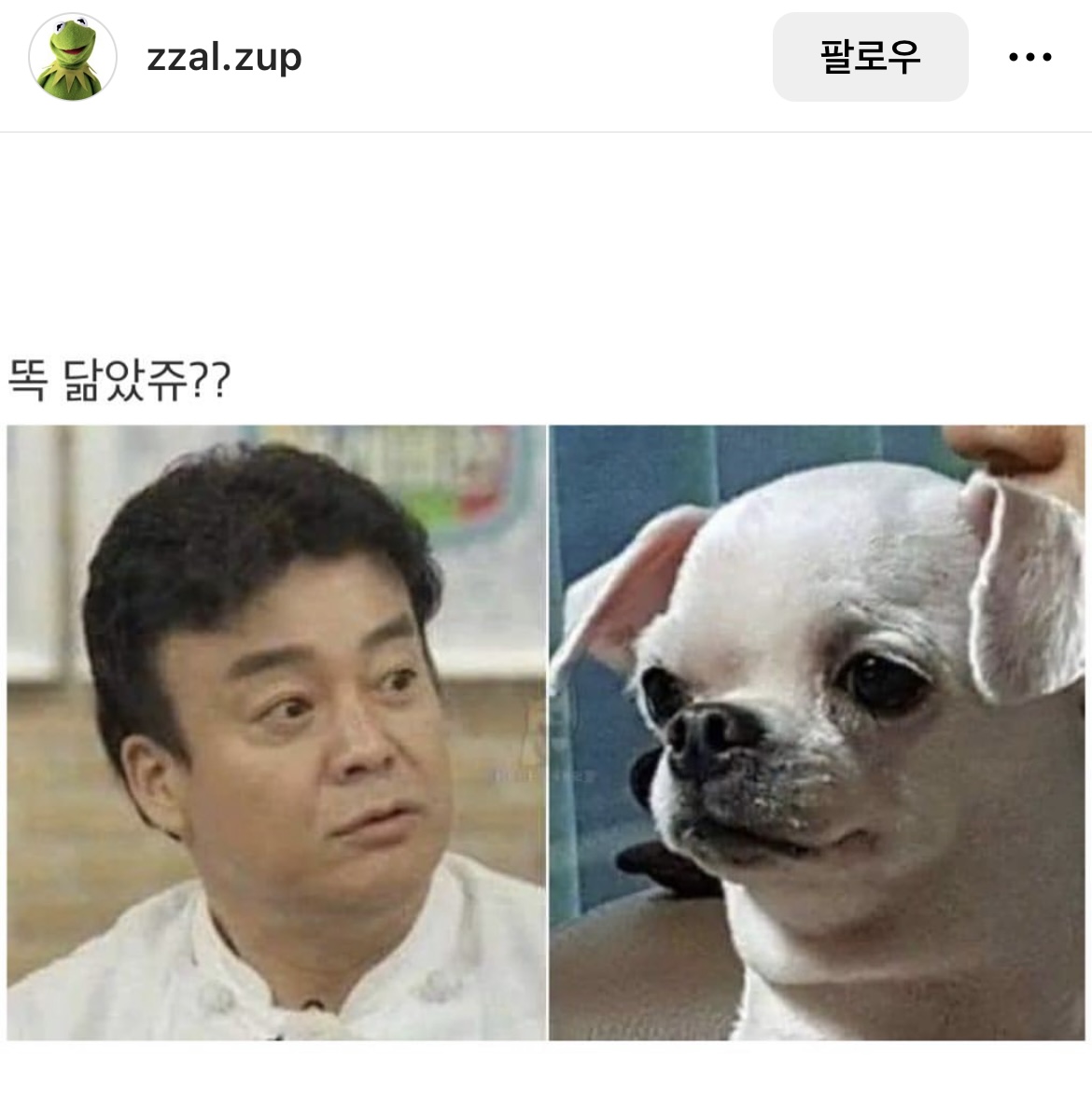 [잡담] 인스타 보다가 터짐 | 인스티즈