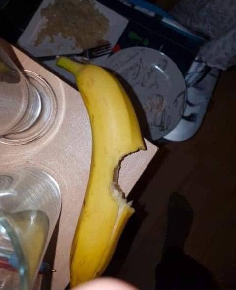 [잡담] 지식이 많아져서 어지러워짐 | 인스티즈