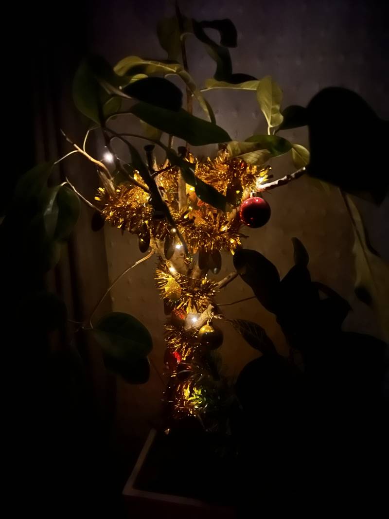 [잡담] 얘드라 나 지금 비상이다… | 인스티즈