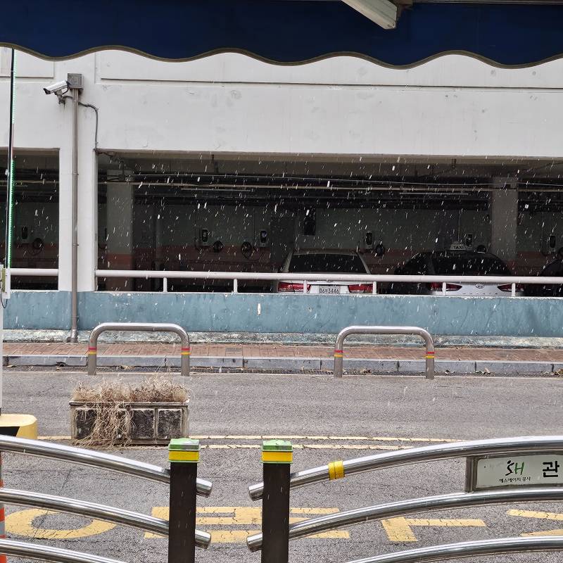 [잡담] 눈 내린다 | 인스티즈