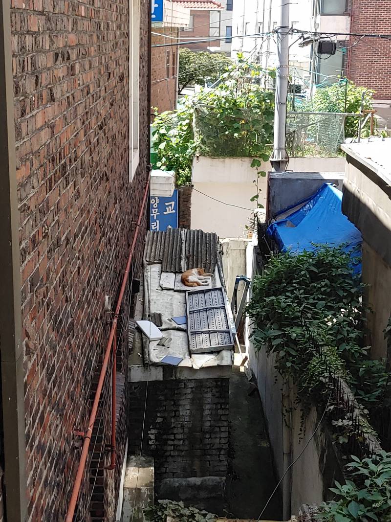 [잡담] 고마움도 | 인스티즈