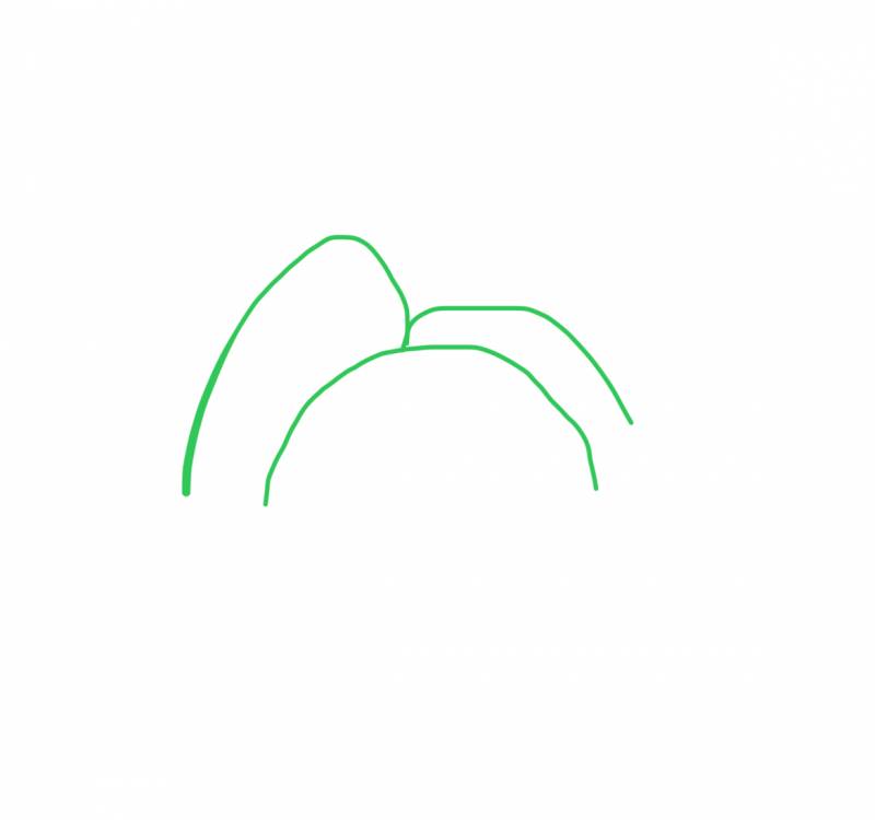 [잡담] 헤어나 미용 잘알 익들아 이런 경우엔 어떻게 해야 돼? | 인스티즈