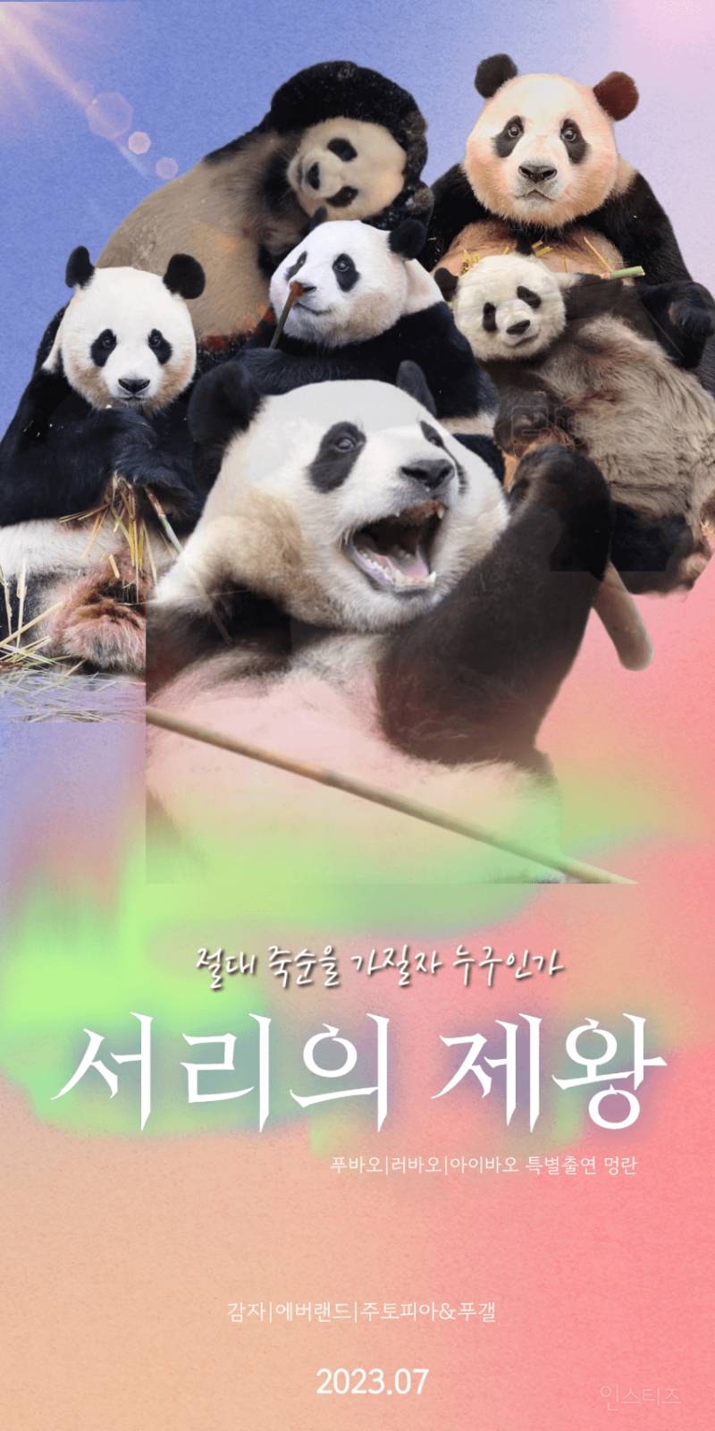 혐오가 판치는 요즘 이걸로 힐링하는 사람 많음 | 인스티즈
