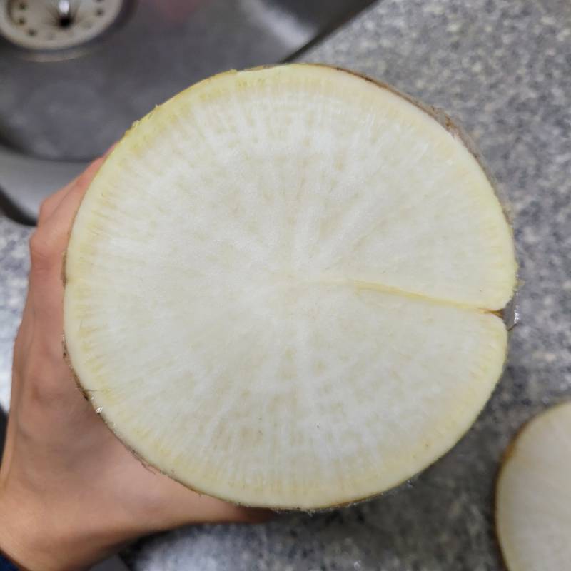 [잡담] 단면보고 바람든건지 알수있나? | 인스티즈