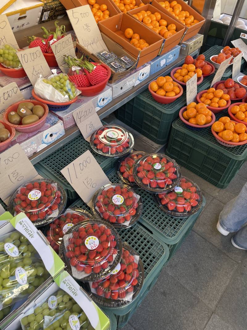 [잡담] 시장 갔다 왔당🫑🥦🫚🍎 | 인스티즈