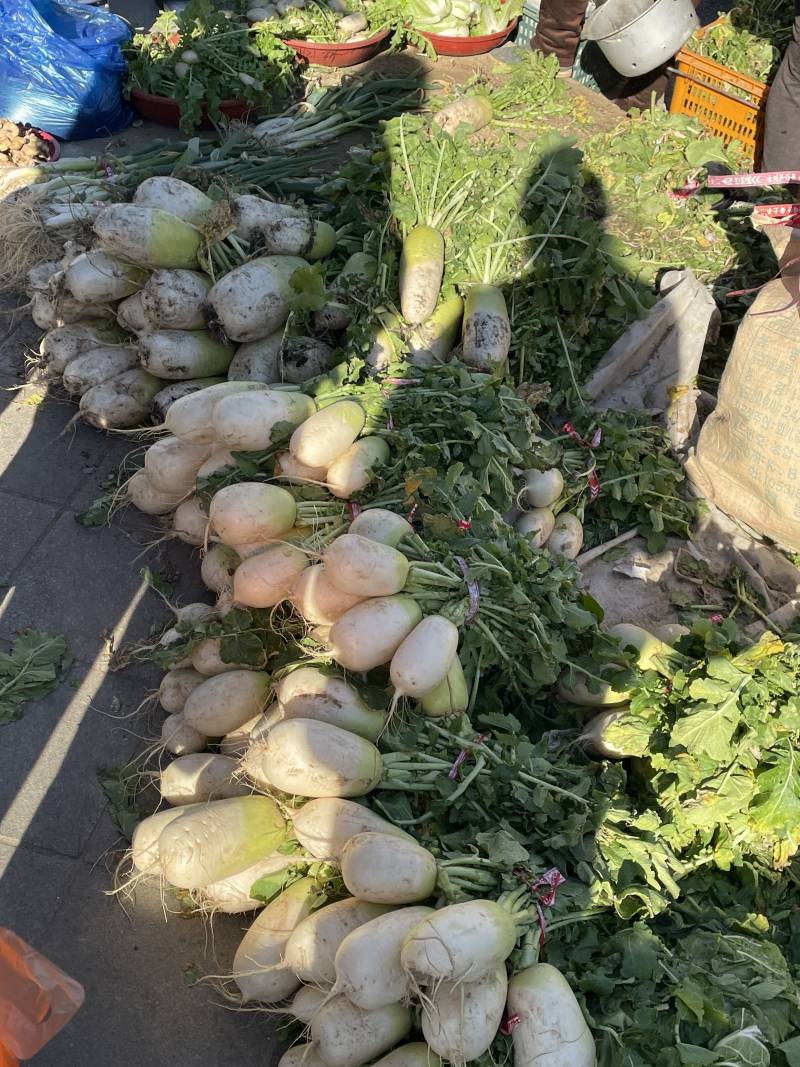 [잡담] 시장 갔다 왔당🫑🥦🫚🍎 | 인스티즈