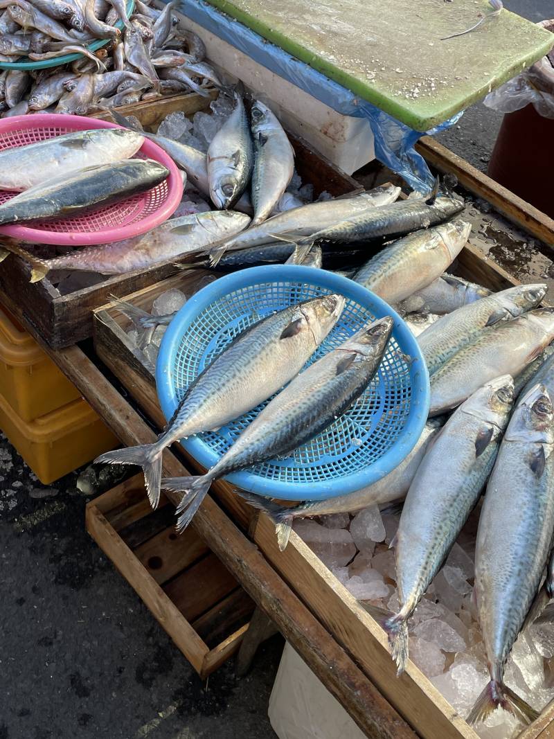 [잡담] 시장 갔다 왔당🫑🥦🫚🍎 | 인스티즈