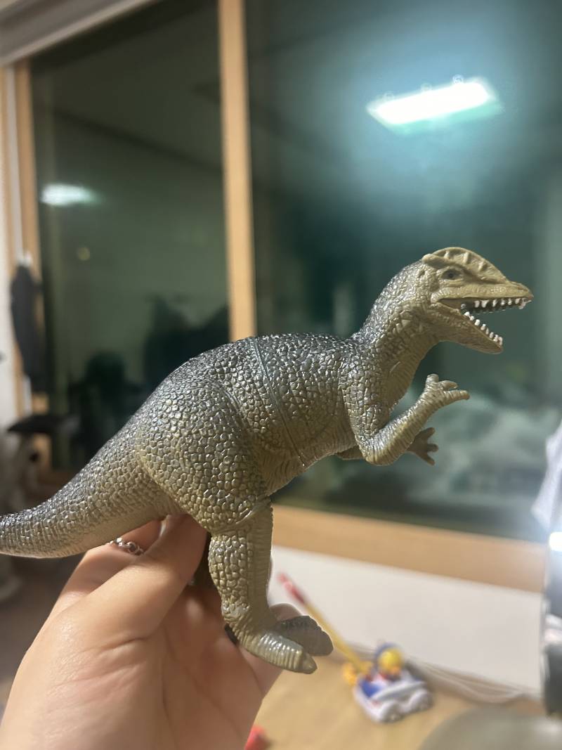 [잡담] 이거 무슨 공룡인지 아는사람 | 인스티즈