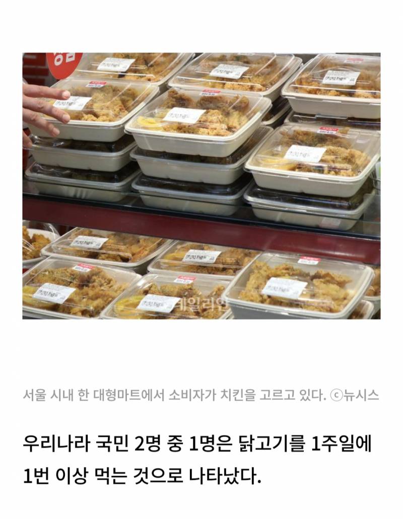 국민 절반 '주 1회 이상' 닭고기 먹는다…韓 1인당 가금육 연간 소비량 증가 | 인스티즈