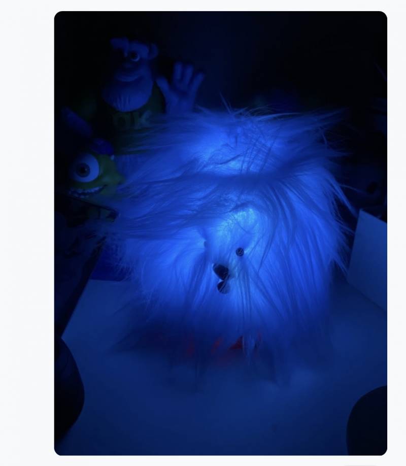 [잡담] 친오빠 생일선물 골라주라 | 인스티즈