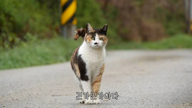 [잡담] 유튜브 최고 미묘 | 인스티즈