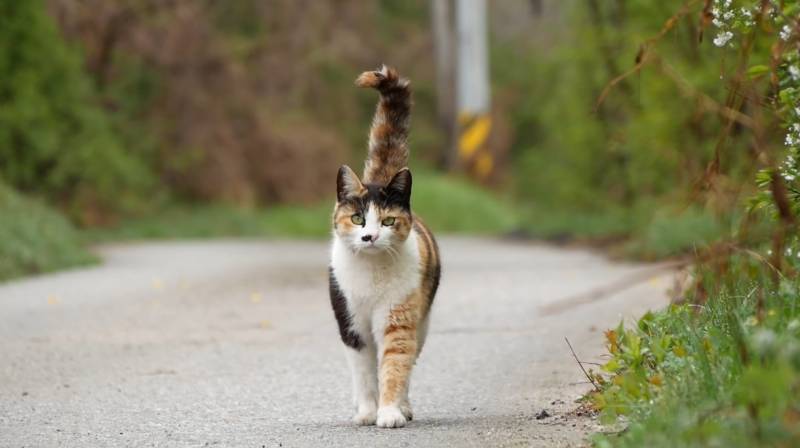 [잡담] 유튜브 최고 미묘 | 인스티즈