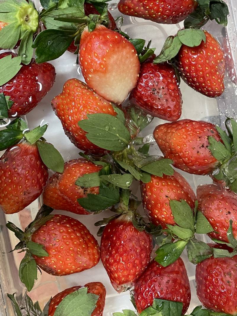 [잡담] 딸기 떨이로 싸게 샀는데 역시😹 | 인스티즈