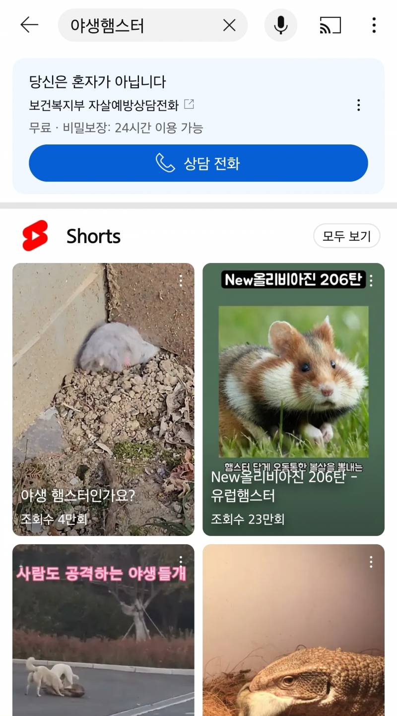 [잡담] 유튜브 왜 뭐 검색할때마다 자살예방상담센터 뜨지 | 인스티즈