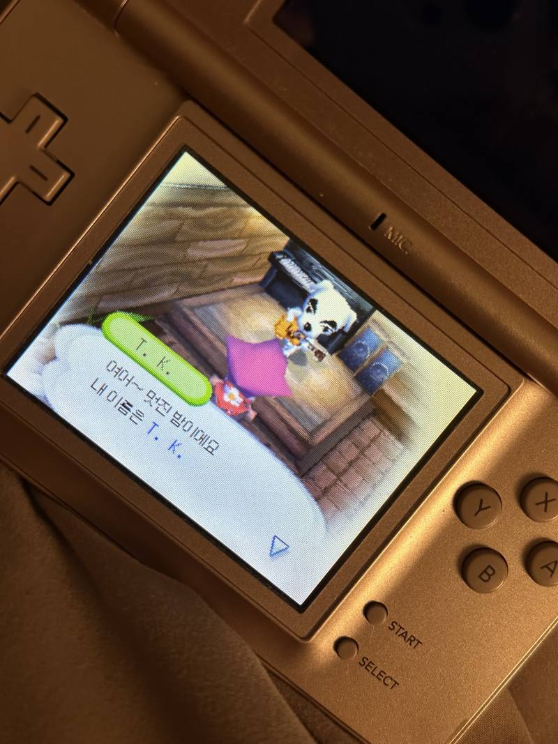 [잡담] 아니 티케이 원래 놀동숲에서 이랬나? ㅋㅋㅋㅋㅋ 모동숲에선 뭔가 점잖은 느낌이였는데 | 인스티즈