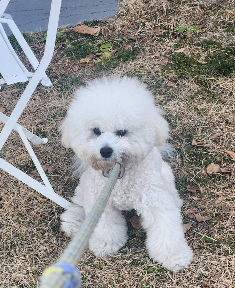 [잡담] 맨날 가기싫대 | 인스티즈