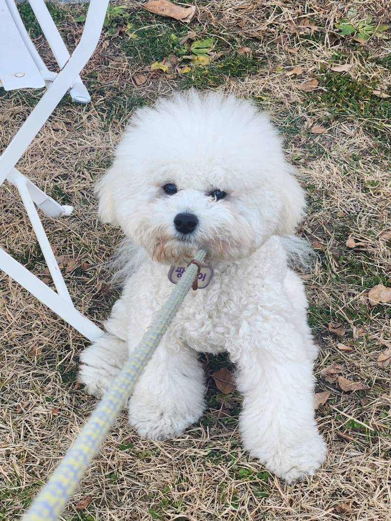 [잡담] 맨날 가기싫대 | 인스티즈